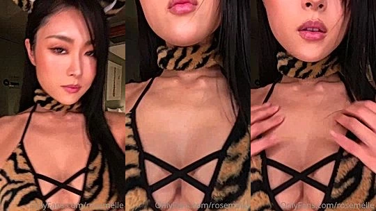 asian chick Rose Melle teasing in sexy cat lingerie